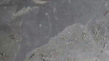 Stop motion animasyonlu beton doku arka plan veya dokular fotoğrafları, döngü olasılığı ile oluşturulan opaklık aracı veya luma mat kullanarak eski filmler efektleri için yararlı