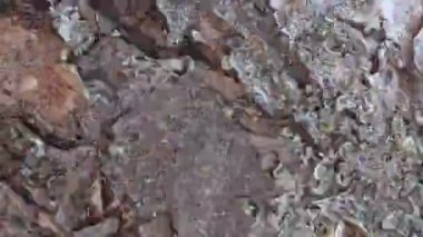 Stop motion animasyonlu ahşap doku arka plan veya dokular fotoğrafları, döngü olasılığı ile oluşturulan opaklık aracı veya luma mat kullanarak eski filmler efektleri için yararlı
