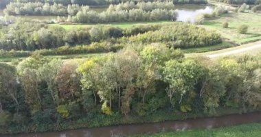 Doğanın havadan görünümü sonbahar manzara, park, ağaçlar, göl