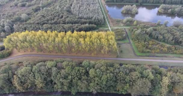 Vue Aérienne Nature Automne Paysage Parc Arbres Lac — Video
