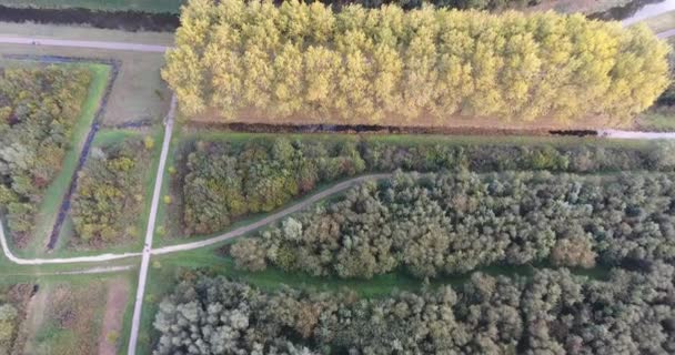 Letecký Pohled Přírodu Podzimní Krajina Park Stromy Jezero — Stock video