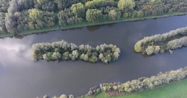 Luftutsikt Över Naturen Höstlandskap Park Träd Sjö — Stockvideo