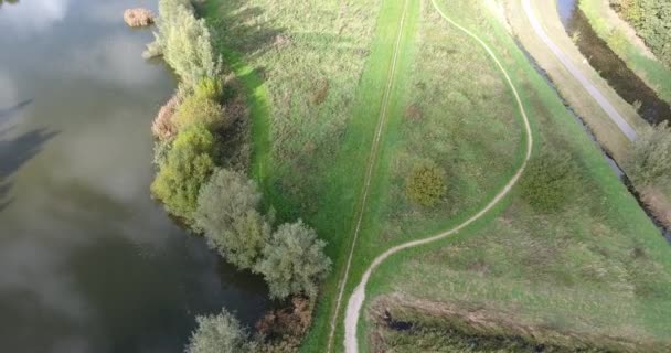 Luftaufnahme Der Natur Herbstlandschaft Park Bäume See — Stockvideo