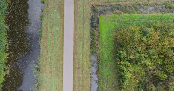 Aerial View Nature Autumn Landscape Park Trees Lake — Stock Video