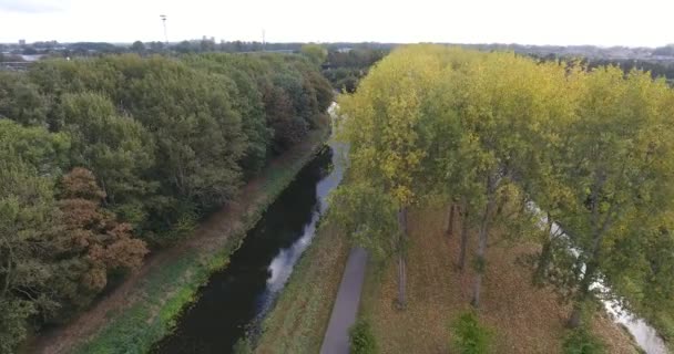 Luftutsikt Över Naturen Höstlandskap Park Träd Sjö — Stockvideo