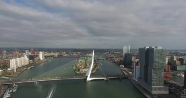 Erasmus köprüsünün havadan görünümü, Rotterdam city, Hollanda