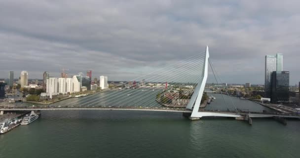 Flygvy Över Erasmus Bridge Rotterdam City Nederländerna — Stockvideo