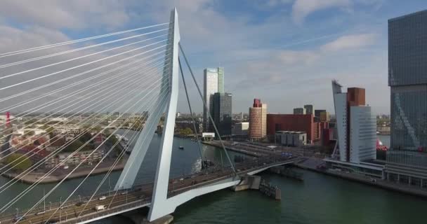 Aerial View Erasmus Bridge Rotterdam City Netherlands — Stock Video