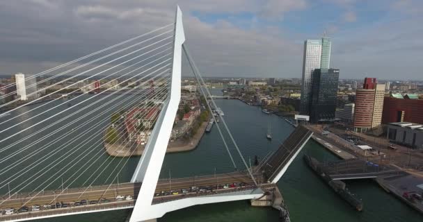 Erasmus Köprüsünün Havadan Görünümü Rotterdam City Hollanda — Stok video