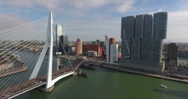 Erasmus Köprüsünün Havadan Görünümü Rotterdam City Hollanda — Stok video