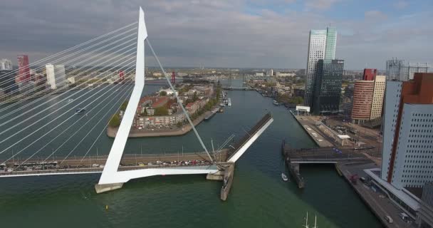 Erasmus Köprüsünün Havadan Görünümü Rotterdam City Hollanda — Stok video