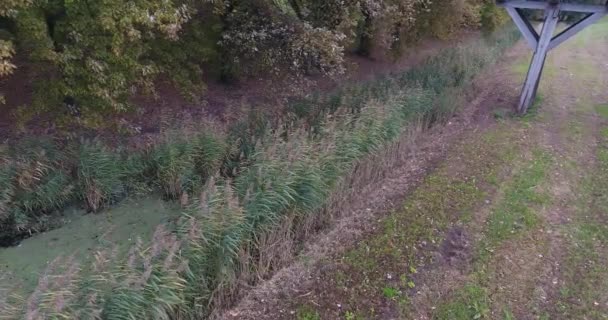 Vista Aérea Parque Cidade Com Área Caminhada Época Outono Zwinjdrecht — Vídeo de Stock