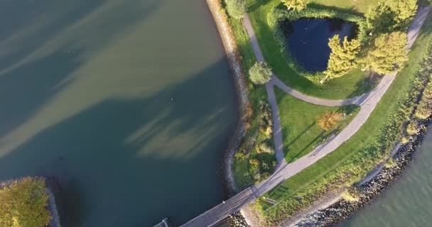 Vista Aérea Água Paisagem Natural Zona Walburg Dordrecht Países Baixos — Vídeo de Stock