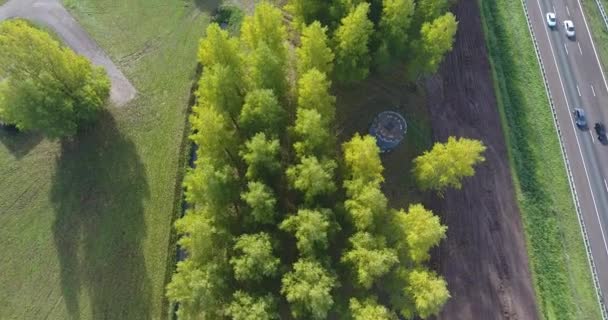 Arriba Vista Aérea Los Árboles Alrededor Autopista Países Bajos — Vídeo de stock