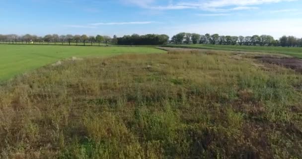 Agriculture Field Autumn Season Aerial View Dordrecht Netherlands — Stock Video