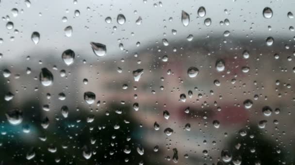 Wassertropfen Auf Fensterglas Regentag Natürliches Licht — Stockvideo