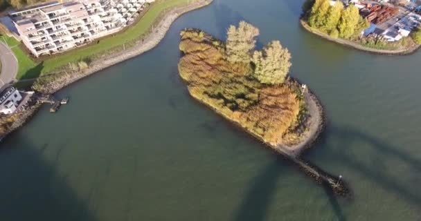 Luftaufnahme Des Flusses Dordrecht Bäume Der Herbstsaison Auf Der Kleinen — Stockvideo