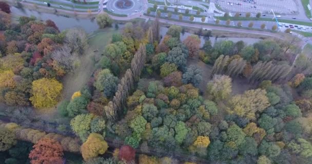 Vista Aérea Coloridos Árboles Otoñales Parque Dordrecht Países Bajos — Vídeos de Stock