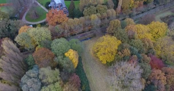 公園のカラフルな秋の木々の航空写真 ドルドレヒト オランダ — ストック動画