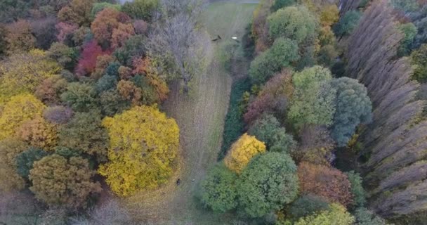 Vista Aérea Coloridos Árboles Otoñales Parque Dordrecht Países Bajos — Vídeos de Stock