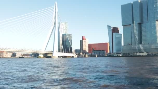 Erasmusbrücke Rund Große Hotelgebäude Und Fluss Rotterdam Zentrum Niederlande Touristische — Stockvideo