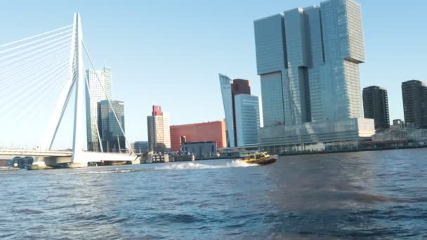 Büyük Otel Binaları Nehir Çevresinde Erasmus Köprüsü Rotterdam Merkezi Hollanda — Stok video