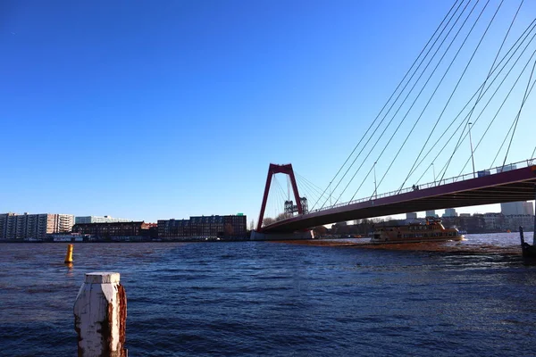 赤いパイロン ロッテルダム オランダのウィレムス橋 — ストック写真