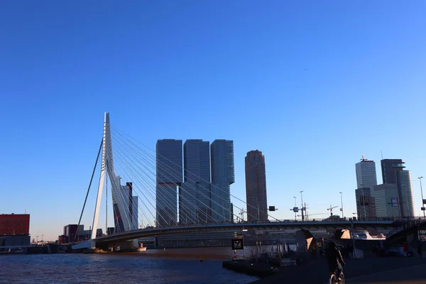 伊拉斯谟大桥周围是大酒店建筑和河流 鹿特丹中心 旅游建筑区 — 图库照片