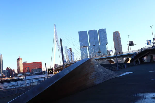Büyük otel binaları ve nehir çevresinde Erasmus köprüsü, Rotterdam merkezi, Hollanda, turistik mimari alan