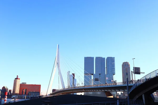 Ponte Erasmus Sui Grandi Edifici Alberghieri Sul Fiume Centro Rotterdam — Foto Stock