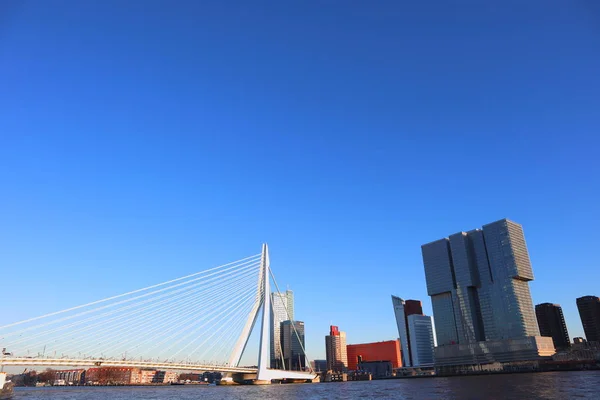 Puente Erasmus Alrededor Los Grandes Edificios Del Hotel Río Rotterdam — Foto de Stock