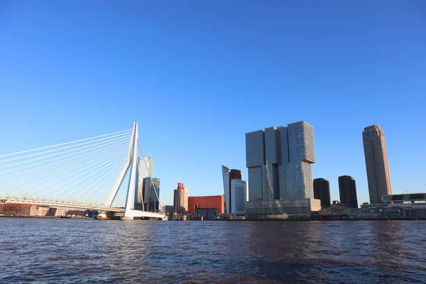 Büyük Otel Binaları Nehir Çevresinde Erasmus Köprüsü Rotterdam Merkezi Hollanda — Stok fotoğraf