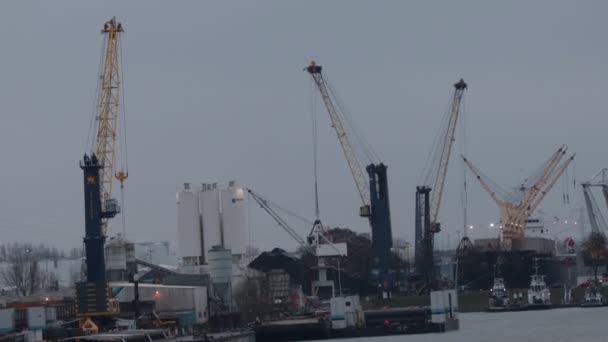 Grúas Trabajo Luz Nublada Puerto Dordrecht Países Bajos — Vídeo de stock