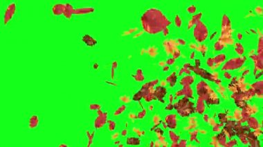 düşen sonbahar yaprakları, yeşil ekran, anahtar düzenlenebilen arka plan