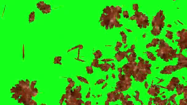 爆発的な秋の落ち葉 緑色の画面クロマキー編集可能な背景 — ストック動画