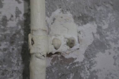 Eski vintage sement duvar farklı düzenleme projeleri için yararlı doku arka plan soyulmuş