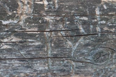 Doğal ışık ahşap doku arka plan