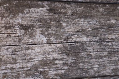 Doğal ışık ahşap doku arka plan