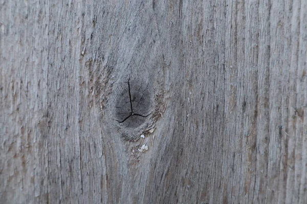 Doğal ışık ahşap doku arka plan