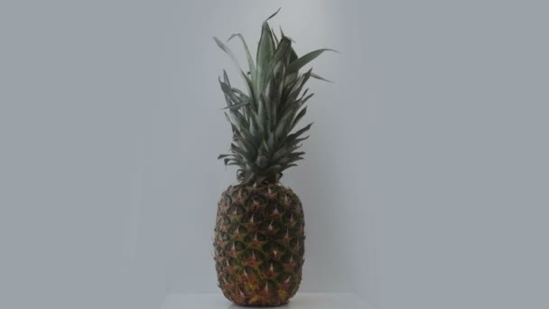 Stop Motion Animation Pineapple Spinning — Stock Video