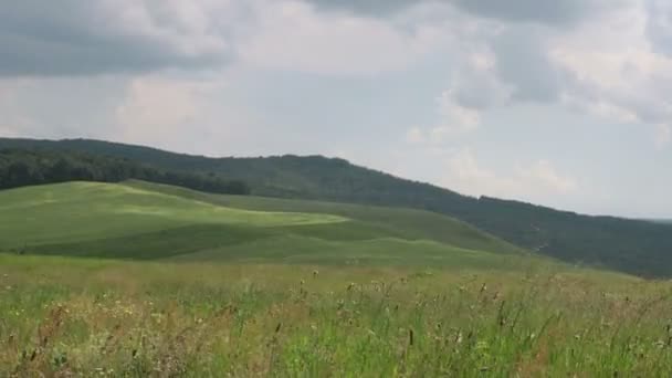 Time Lapse Hill Summer Landscape — Stock Video