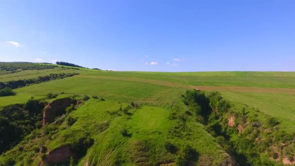 Luchtfoto Van Groene Natuurlijke Heuvel Veld Met Gras — Stockvideo