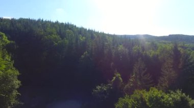Orman tepe arka plan havadan görünümü, güzel doğa ağaçları manzara