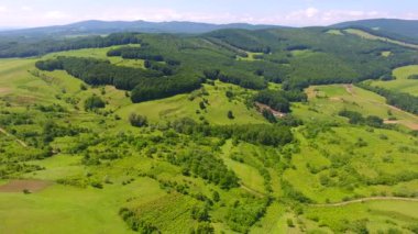 Tepenin havadan görünümü, yaz mevsimi, çim arka plan ve orman yeşil