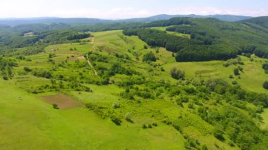 Tepenin havadan görünümü, yaz mevsimi, çim arka plan ve orman yeşil