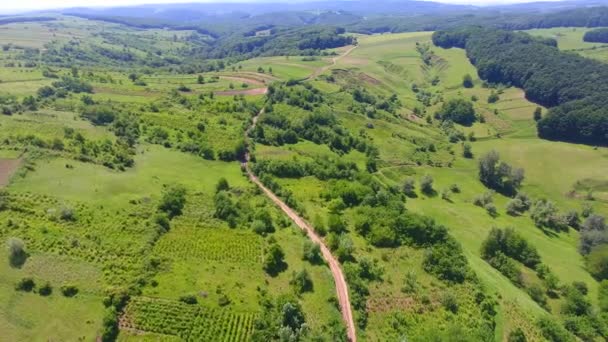 Luchtfoto Van Landelijke Weg Rond Het Groene Natuur Landschap — Stockvideo