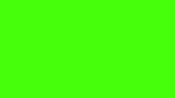 Modern Flat Short Animations Set Effects Elements Green Screen Chroma — Stock Video