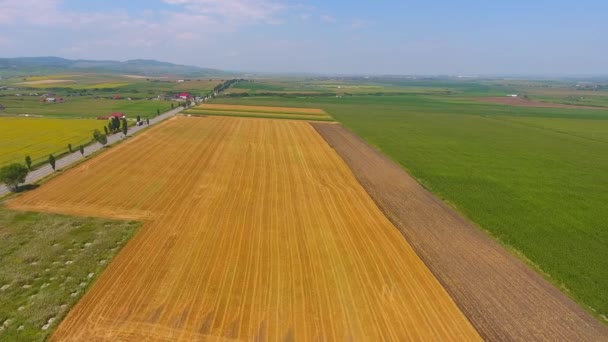 Vista Aérea Dos Campos Agrícolas Roménia Europa — Vídeo de Stock