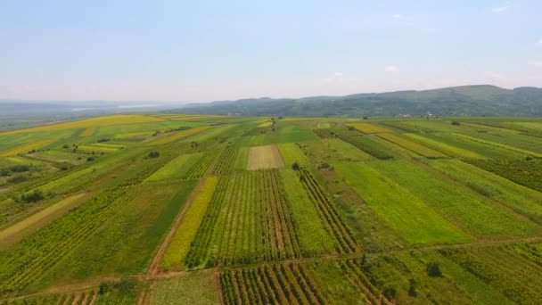 Vista Aérea Dos Campos Agrícolas Roménia Europa — Vídeo de Stock