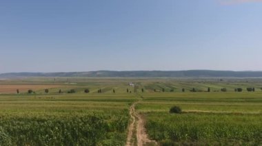 Mısır tarlaları çevresindeki kırsal yolun havadan görünümü